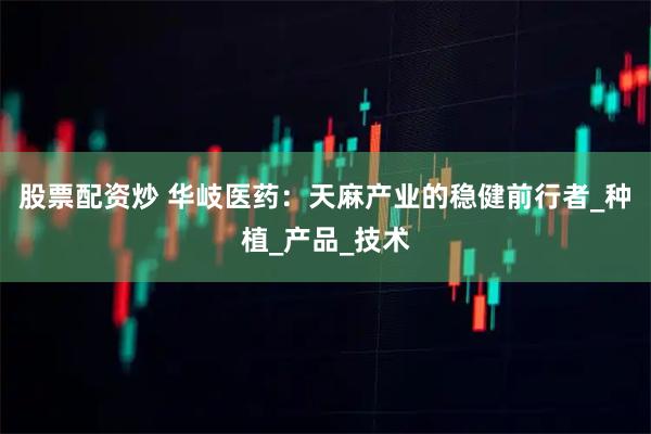 股票配资炒 华岐医药：天麻产业的稳健前行者_种植_产品_技术